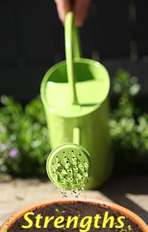Watering-can-green